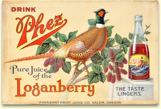 Phez Loganberry sign